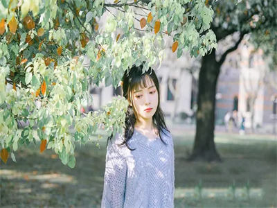 虞沁安关蓦之最火小说 虞沁安关蓦之完整版在线阅读-第1张图片-微作文 虞沁安关蓦之最火小说 虞沁安关蓦之完整版在线阅读-第1张图片-微作文