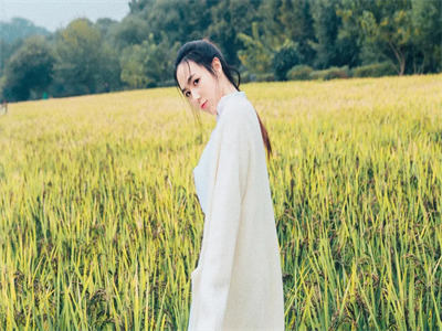 向歆婷顾锦默小说叫什么 向歆婷顾锦默在线阅读-第1张图片-微作文 向歆婷顾锦默小说叫什么 向歆婷顾锦默在线阅读-第1张图片-微作文
