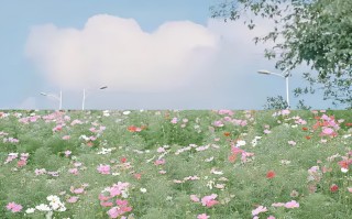 高考优秀作文素材(2022年高考优秀作文素材)