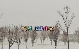 作文事例(作文事例素材万能)