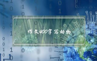 作文400字写动物,作文400字写动物仓鼠