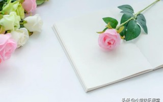 精选优秀作文600字(精选优秀作文600字 六年级)