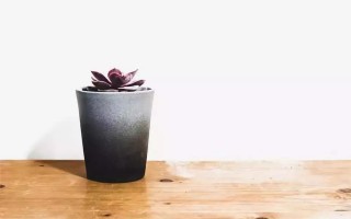 一篇好作文(一篇好作文要具备什么)