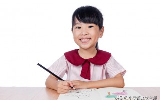 小学生作文精选()