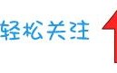 崇拜的人作文(写一个自己喜欢或崇拜的人作文)