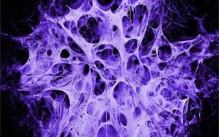 作文神仙开头结尾的句子(精选写在作文里惊艳老师的句子文案大全30句)