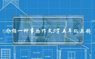 介绍一种事物作文5字五年级上册,介绍一种事物作文5字五年级上册猫