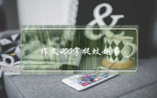 作文400字捉蚊趣事,写一件事的作文400字捉蚊趣事