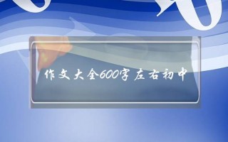 作文大全600字左右初中,作文大全600字初中