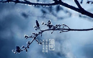 精品作文大全600字(精品作文600字以上)