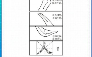 顶出一个春天优秀范文(顶出一个春天作文800字)