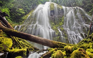 姜雨婷傅怀宇全文在线阅读-姜雨婷傅怀宇知乎小说最新章节完整版
