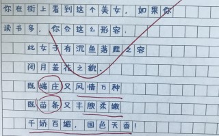 有关读书作文(小学作文推荐一本书)