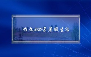 作文300字暑假生活,作文300字暑假生活五年级