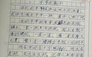 小学五年级优秀作文大全()