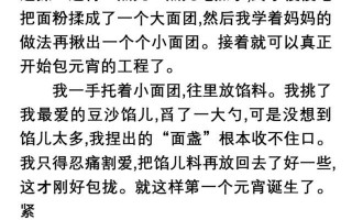 快乐的节日作文(快乐的节日作文600字)