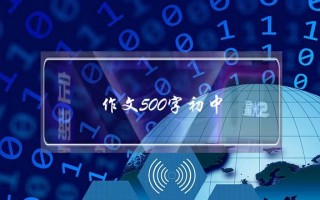 作文500字初中,我的母亲作文500字初中