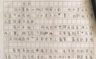 学习作文(小学作文)