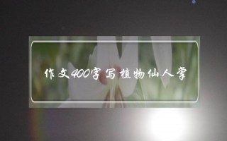 作文400字写植物仙人掌,小学生写植物的作文400字