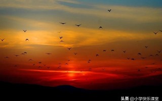 优秀的作文(优秀的作文600字初中)