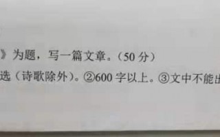 小升初作文题目集锦(我能为你做点什么)