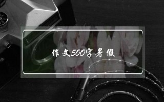 作文500字暑假,300字作文大全三年级