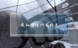 我和谁过一天作文,我和谁过一天作文