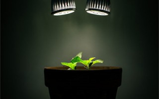 颜蓉蓉司柏衡（抖音热推）全文在线阅读-颜蓉蓉司柏衡全集小说已完结大结局