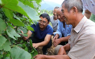 农村村情简介优秀范文(村情简介优秀范文全文)