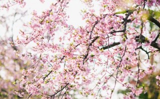六百字作文大全初中(六百字作文大全初中叙事抒情散文)