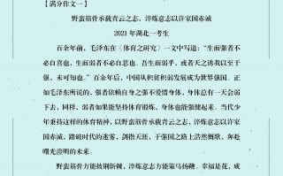 写作文的作文(不想写作文的作文)