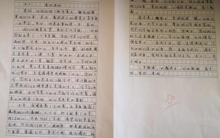 有家真好作文600字优秀作文(有家真好作文600字优秀作文初中)