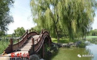 建设家乡的作文(建设家乡的作文议论文)