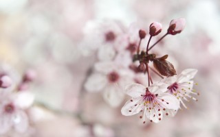 五年级优秀作文400字大全(五年级优秀作文400字大全,关于秋天)