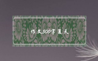 作文500字夏天,中学作文500字