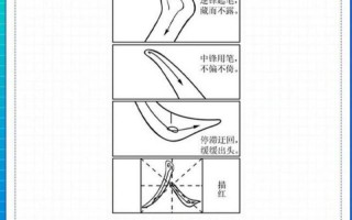 优秀写人作文大全(优秀写人作文大全500字)