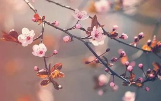 优秀作文六百字(优秀作文六百字初一)
