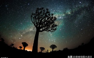 我的爸爸优秀作文大全(我的爸爸优秀作文大全300字)