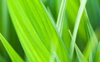 高情商回复别人的赞美的句子有哪些？(精选被夸赞优秀神回复的句子文案大全25句)
