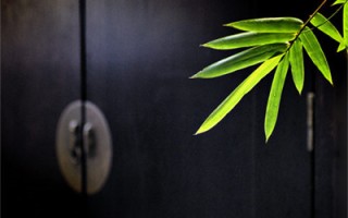 打动对方一辈子的情话(精选句句不提爱句句都是爱的文案集锦31句)