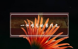 一件难忘的事作文,一件难忘的事作文
