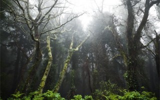 爱意沉沦雨中（顾晚清林瑄）最新章节阅读-顾晚清林瑄（爱意沉沦雨中）无广告在线阅读