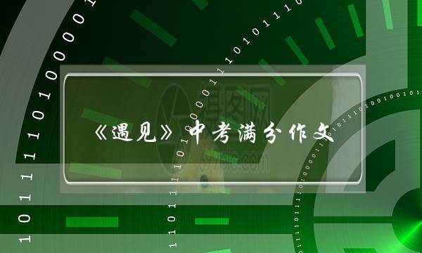 《遇见》中考满分作文,《遇见》中考满分作文宋亚轩-第1张图片-微作文