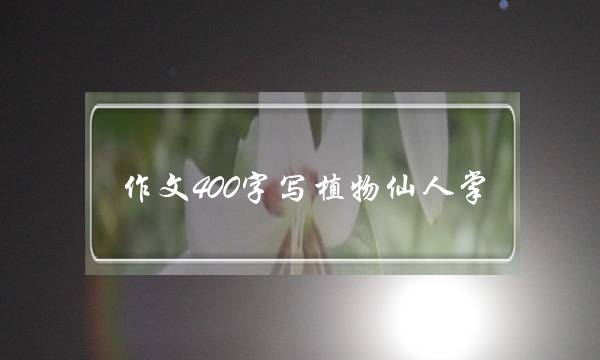 作文400字写植物仙人掌,小学生写植物的作文400字-第1张图片-微作文