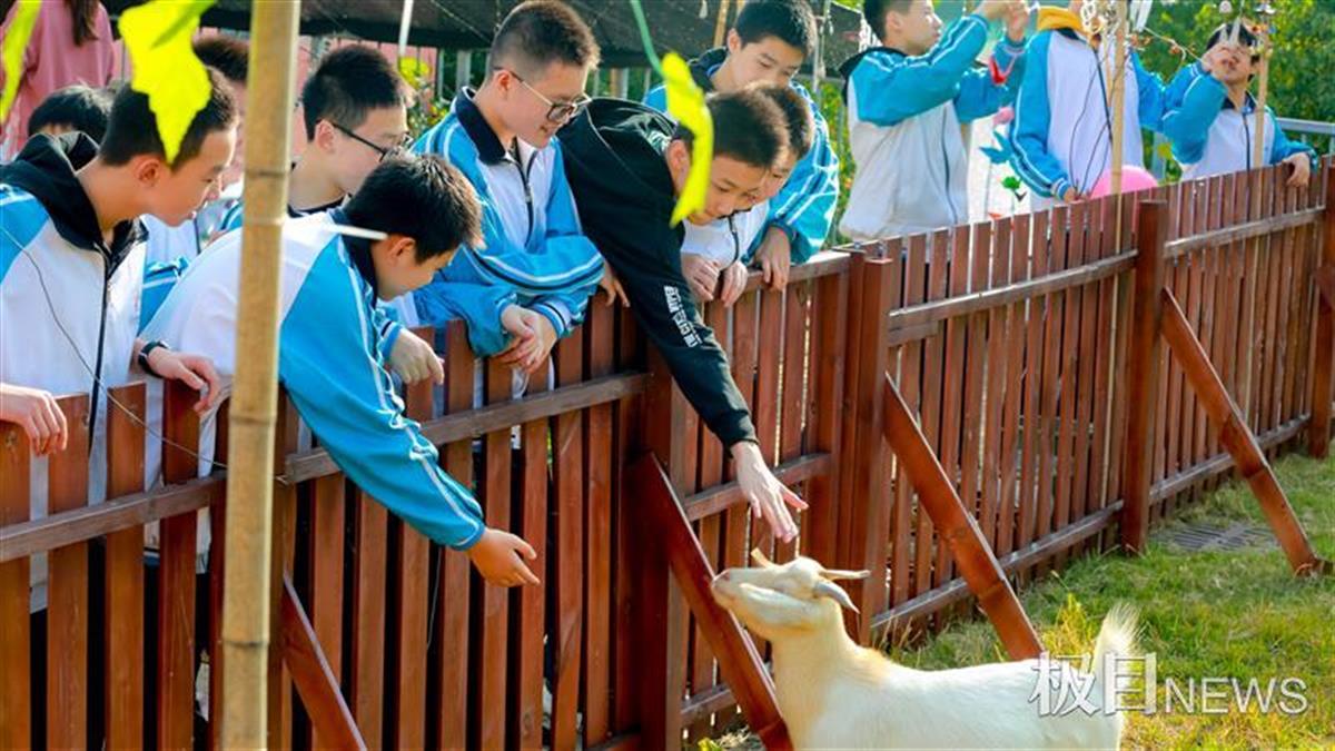 可爱的小白兔200字作文(可爱的小白兔作文200字三年级)-第2张图片-微作文 可爱的小白兔200字作文(可爱的小白兔作文200字三年级)-第2张图片-微作文