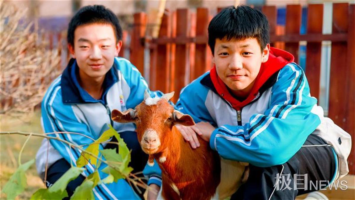 可爱的小白兔200字作文(可爱的小白兔作文200字三年级)-第4张图片-微作文 可爱的小白兔200字作文(可爱的小白兔作文200字三年级)-第4张图片-微作文