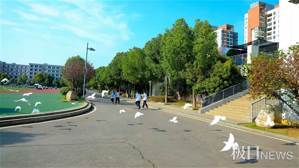 可爱的小白兔200字作文(可爱的小白兔作文200字三年级)-第5张图片-微作文 可爱的小白兔200字作文(可爱的小白兔作文200字三年级)-第5张图片-微作文