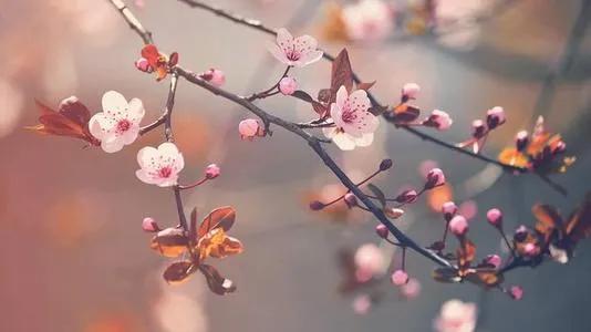 优秀作文六百字(优秀作文六百字初一)-第1张图片-微作文 优秀作文六百字(优秀作文六百字初一)-第1张图片-微作文