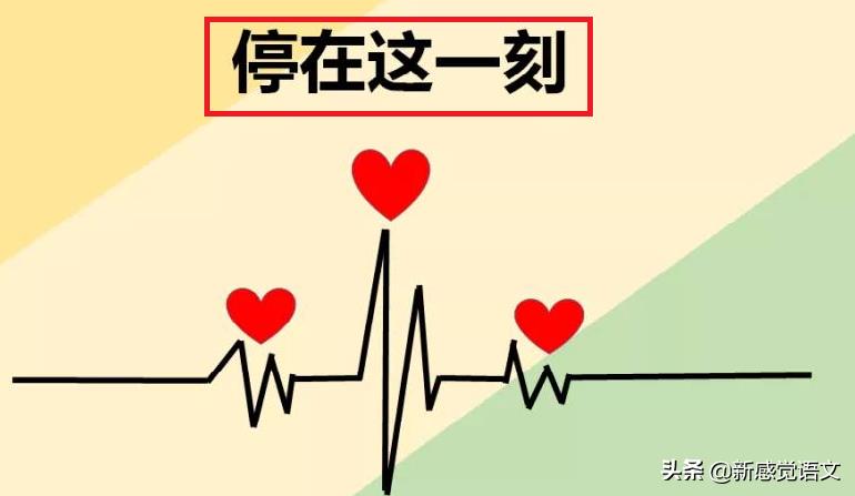 心儿怦怦跳的作文(心儿怦怦跳的作文500字左右)-第3张图片-微作文 心儿怦怦跳的作文(心儿怦怦跳的作文500字左右)-第3张图片-微作文