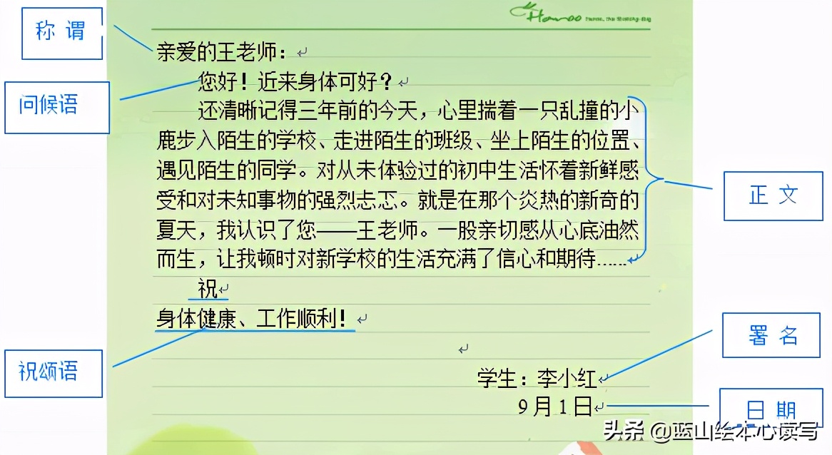 写作文的格式怎么写(一篇作文怎么写)-第7张图片-微作文 写作文的格式怎么写(一篇作文怎么写)-第7张图片-微作文